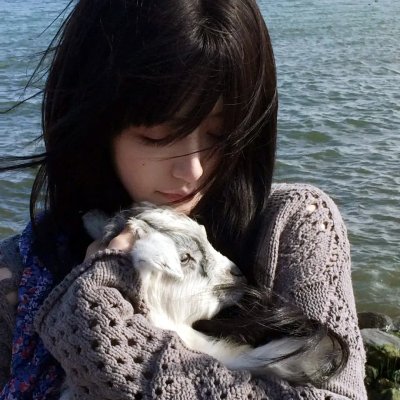 加菲猫和他的朋友们第六季